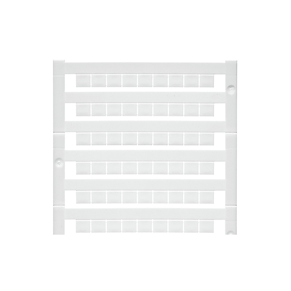 Article image 1609850000