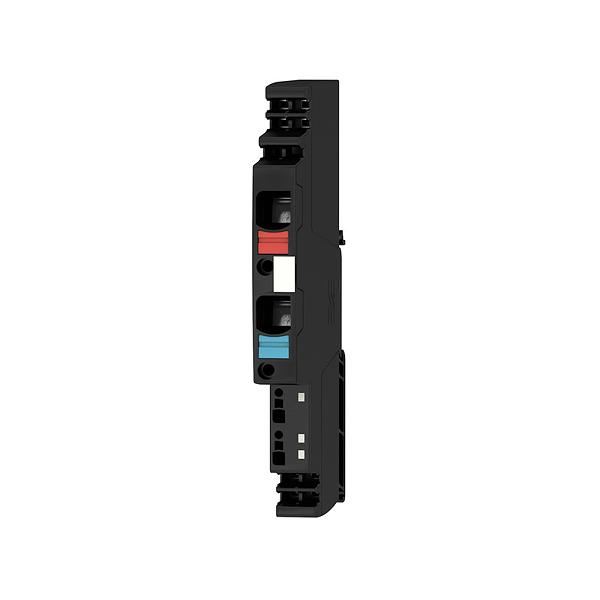 Article image 2081870000
