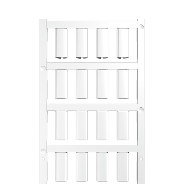 Article image 1730560001
