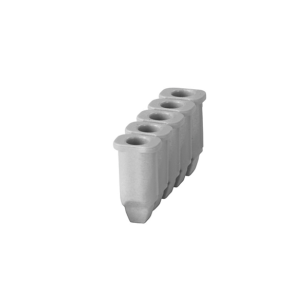 Article image 1916400000