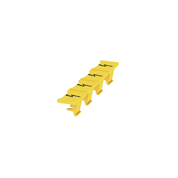Article image 1916170000