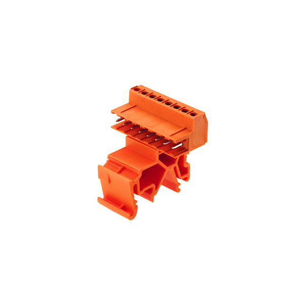 Article image 1766140000