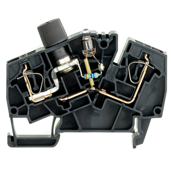 Article image 1826030000