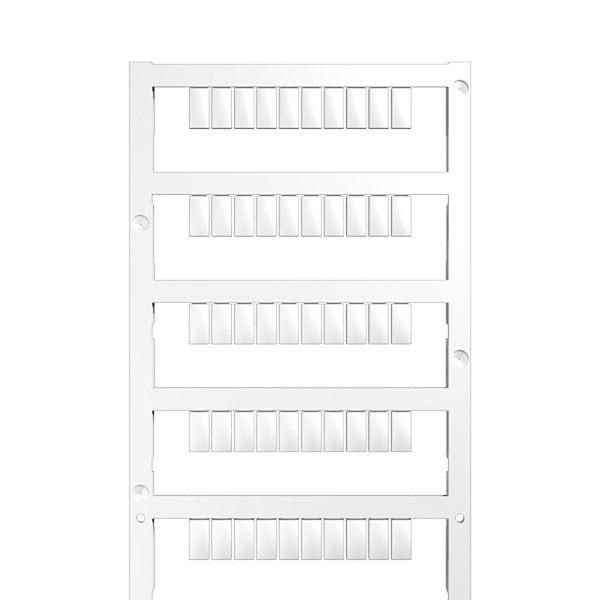 Article image 1877720000