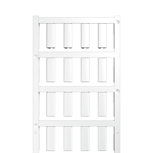 Article image 1919020000