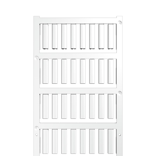 Article image 1918910000