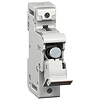 product image MGN15710