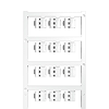 product image 1758320001